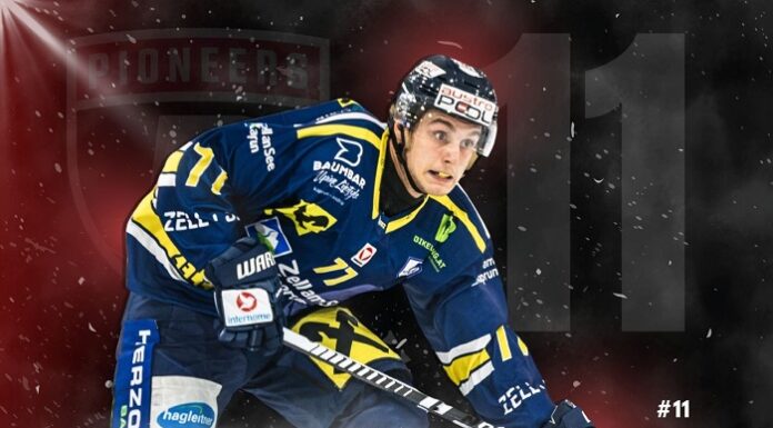 Pioneers Vorarlberg verpflichten Max Stiegler