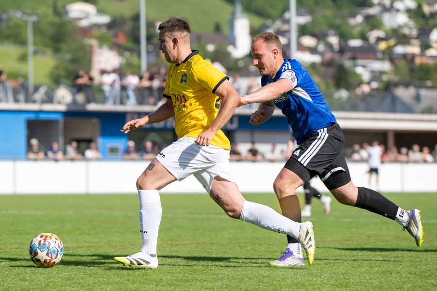 Schreiber,Berg-gegen-Büchel Triesen