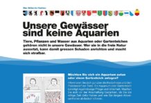 Aquarium- und Gartenteichlebewesen gehören nicht in unsere Gewässer