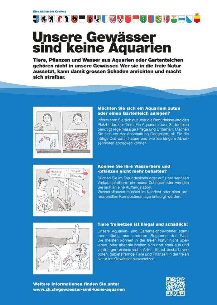 Aquarium- und Gartenteichlebewesen