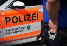 Zug kollidiert mit Rindern-alle Tiere tot
