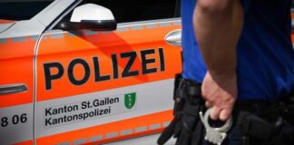 Zug kollidiert mit Rindern-alle Tiere tot