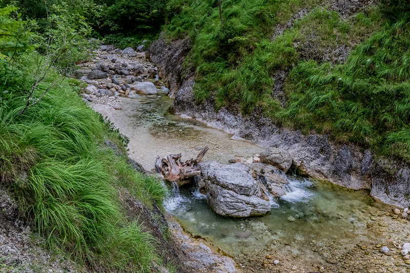 GER, Themenbild Natur, Almbachklamm bei Marktschellenberg - Berchtesgaden, 25.07.2026