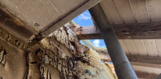 Brand auf Balkon mit hohem Sachschaden