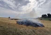 Wittenbach: Ballenpresse in Brand geraten