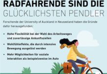 Auto und Bus/Fahrrad