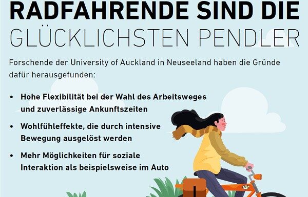 Auto und Bus/Fahrrad