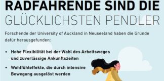 Vergleich Auto/Bus mit Fahrrad