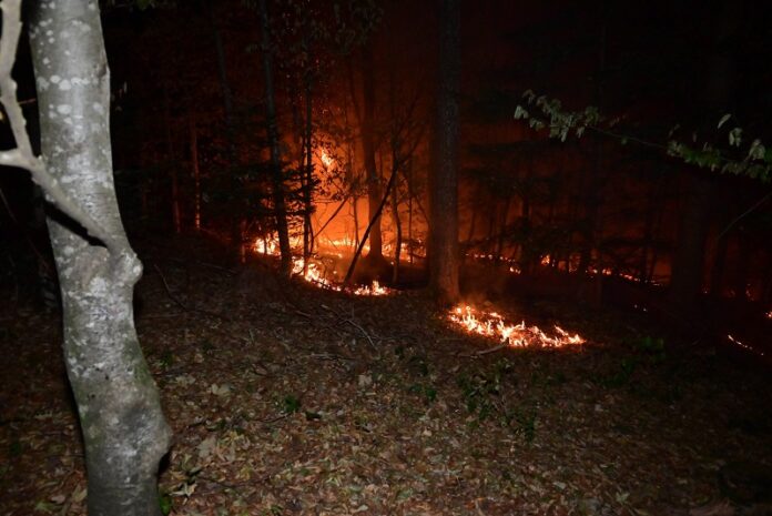 Brand