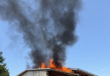 Wochenendbilanz der Landespolizei (1./2. August)