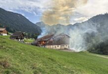 Ebnat-Kappel: Viehscheune nach Blitzschlag in Vollbrand – Tiere gerettet
