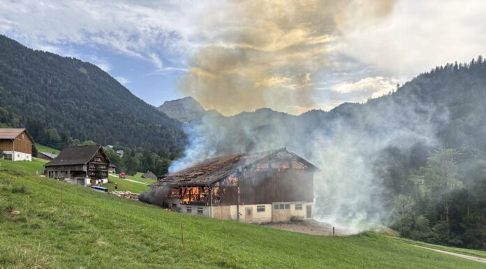 Ebnat-Kappel: Viehscheune nach Blitzschlag in Vollbrand – Tiere gerettet
