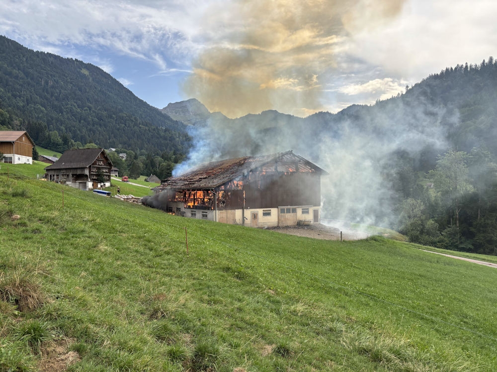 Ebnat-Kappel_1_T