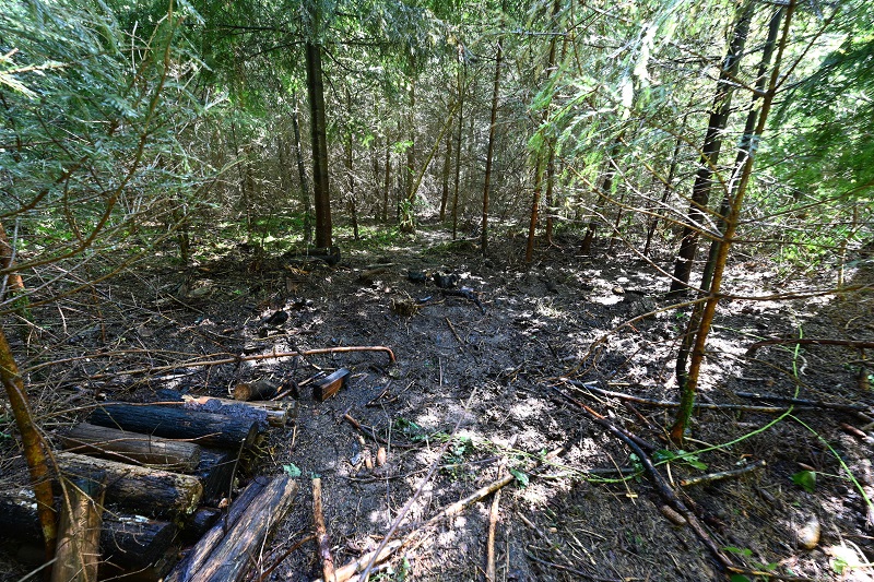 Gossau_Waldbrand_1_D