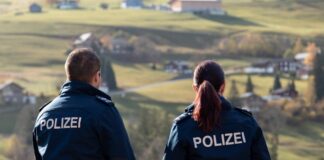 Flumserberg: Wanderer durch Kühe verletzt