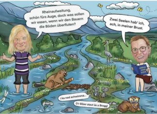 Rheinaufweitung: Ministerin im Konfliktfeld