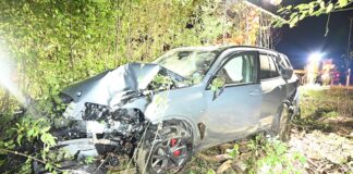 Mit Auto im Wiesland gelandet-hoher Sachschaden