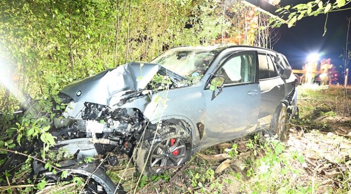 Mit Auto im Wiesland gelandet-hoher Sachschaden