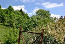 Zeugenaufruf – Mehrere Einbruchdiebstähle in Schrebergärten