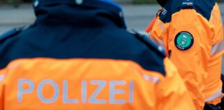 Stadt St.Gallen: Nach Einbruch auf Wiese eingeschlafen
