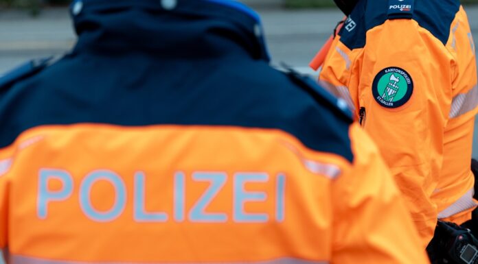 Stadt St.Gallen: Nach Einbruch auf Wiese eingeschlafen