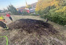 Wiese in Brand geraten