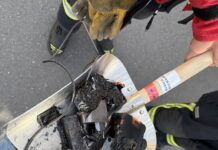 Einbruchdiebstähle und Brand eines Akkus