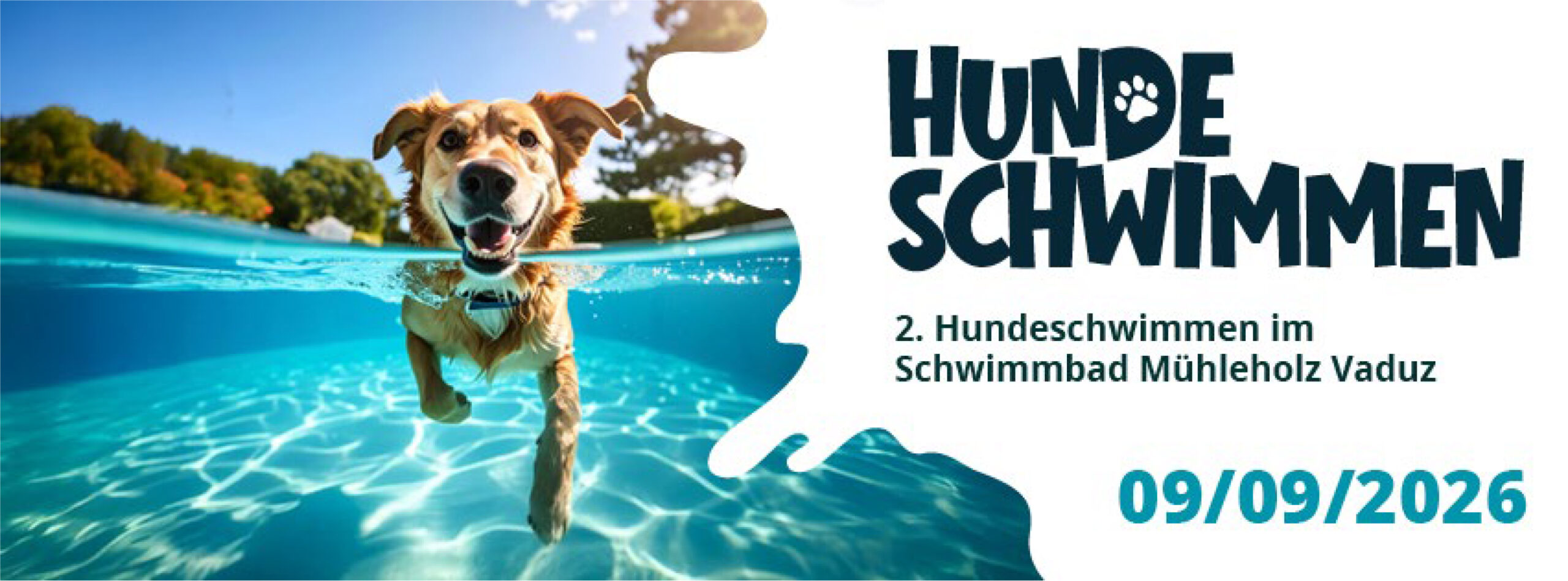 Hundeschwimmen