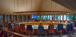 Der Landtags stimmte der Initiative zur Fristenlösung zu