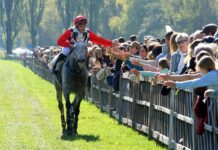 Pferderennen Maienfeld/Bad Ragaz am 4. & 11. Oktober 2026
