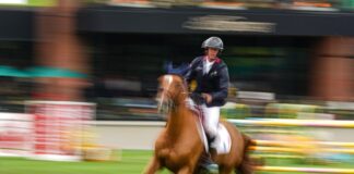 Pferderennen Maienfeld/Bad Ragaz am 4. & 11. Oktober 2026