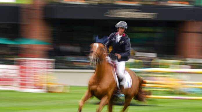 Pferderennen Maienfeld/Bad Ragaz am 4. & 11. Oktober 2026