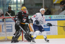 Knappe Heimniederlage der Pioneers gegen Fehervar