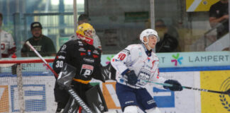Knappe Heimniederlage der Pioneers gegen Fehervar