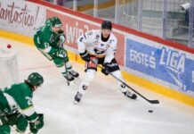 Pioneers Vorarlberg verlieren in Budapest knapp