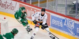 Pioneers Vorarlberg verlieren in Budapest knapp
