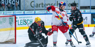 Pioneers Vorarlberg: Auch nach sieben Pflichtspielen ohne Punkte