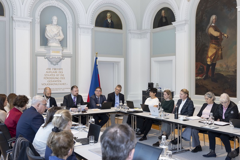 Runder Tisch Gesundheitswesen, Vaduz